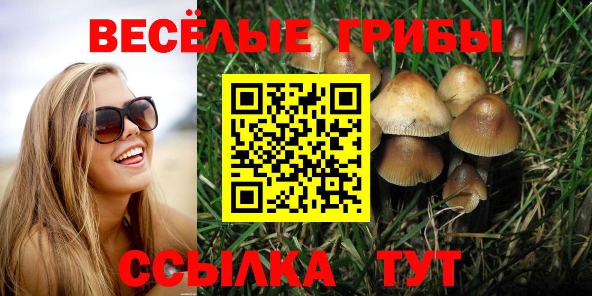 Галлюциногенные грибы Psilocybine cubensis Белебей